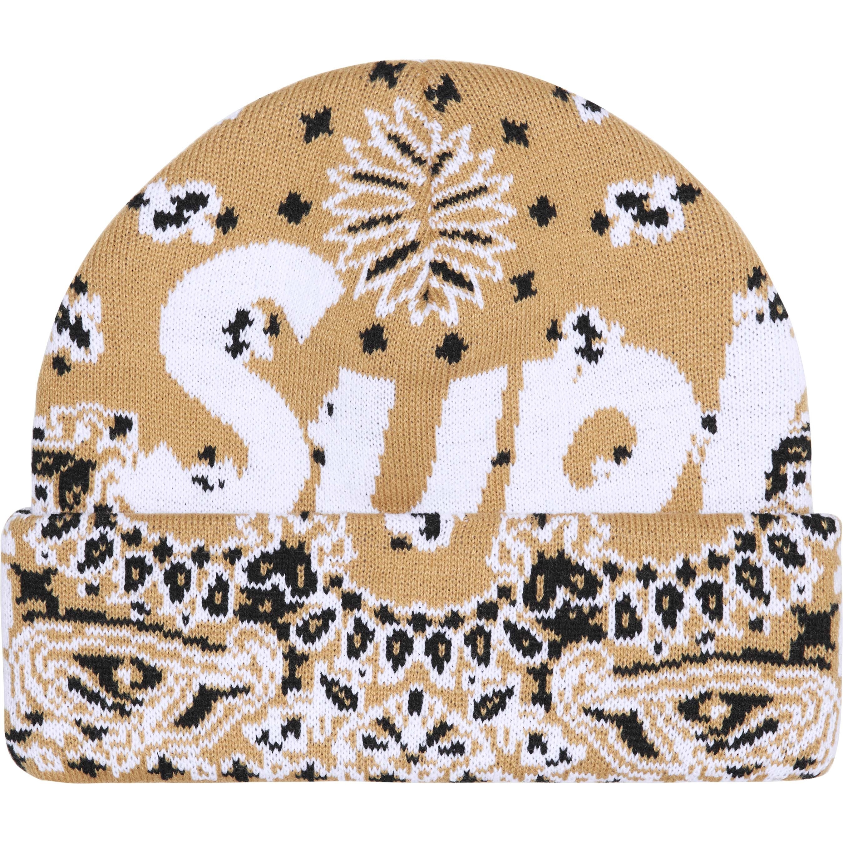 Big Logo Beanie view 15